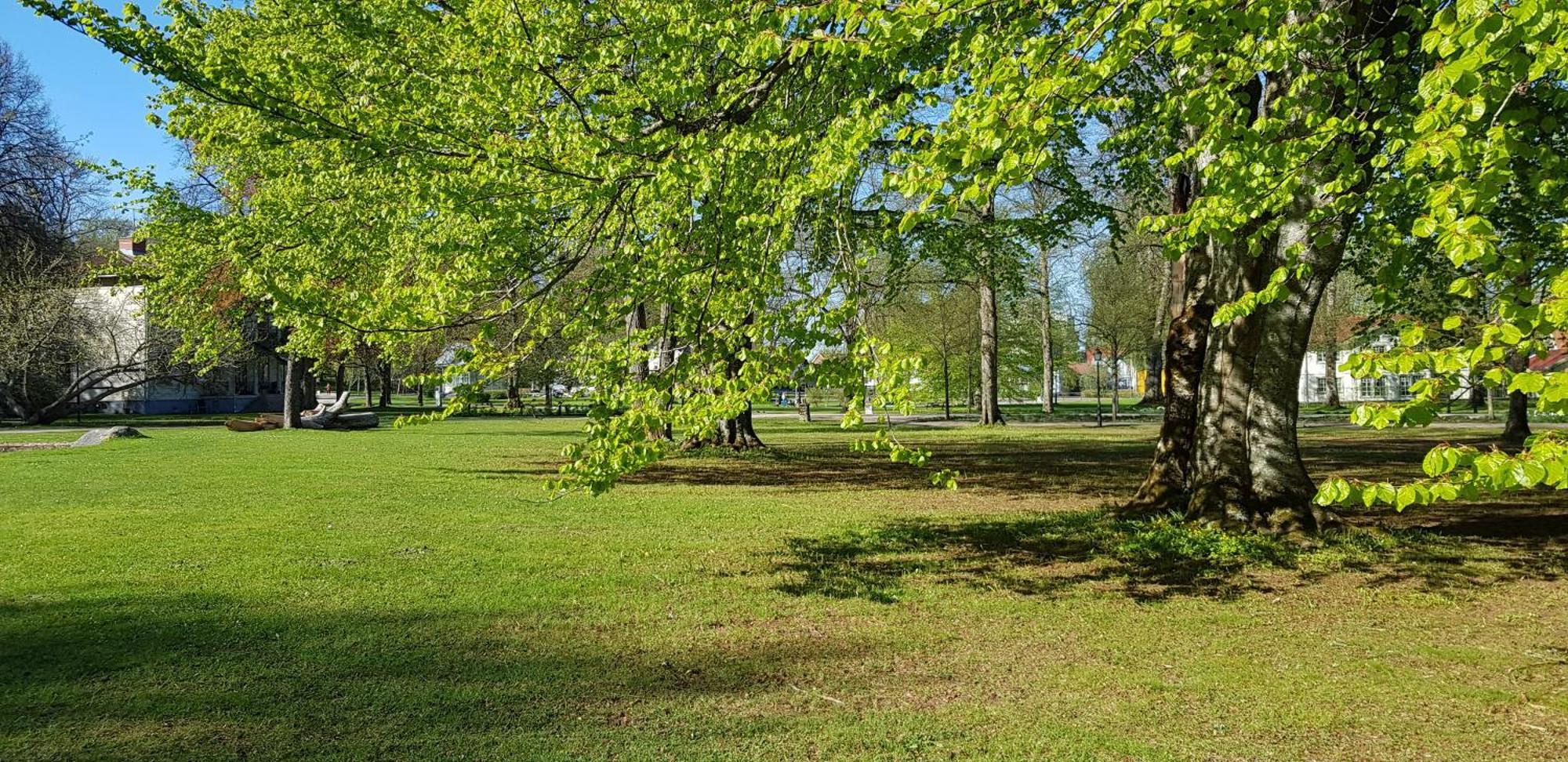Moessebergs Vandrarhem Falköping المظهر الخارجي الصورة